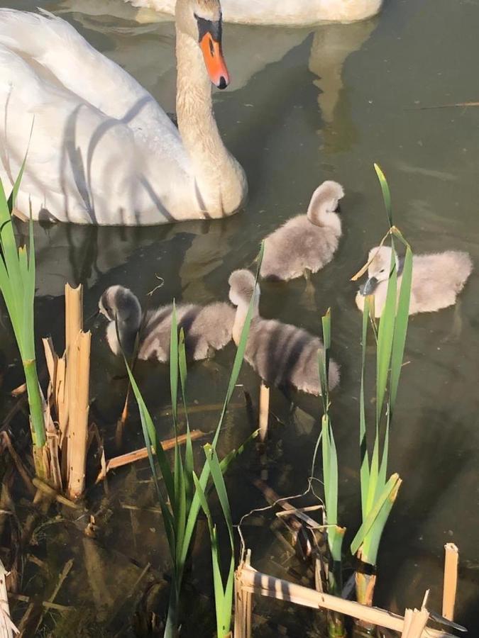 Selska Chalupa Anetka Horšovský Týn Buitenkant foto