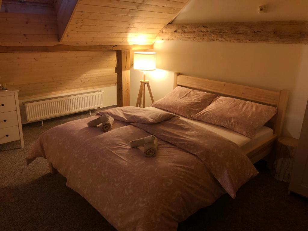Selska Chalupa Anetka Horšovský Týn Buitenkant foto